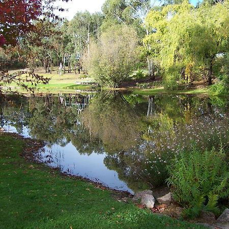Granite Gardens Cottages & Lake Retreat Stanthorpe Zewnętrze zdjęcie