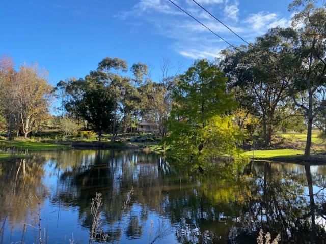 Granite Gardens Cottages & Lake Retreat Stanthorpe Zewnętrze zdjęcie