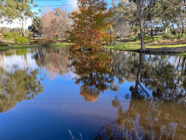 Granite Gardens Cottages & Lake Retreat Stanthorpe Zewnętrze zdjęcie