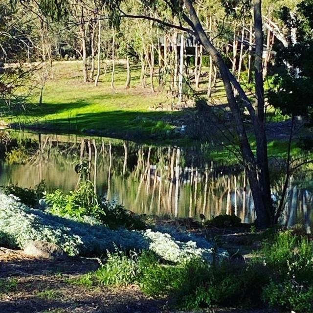 Granite Gardens Cottages & Lake Retreat Stanthorpe Zewnętrze zdjęcie