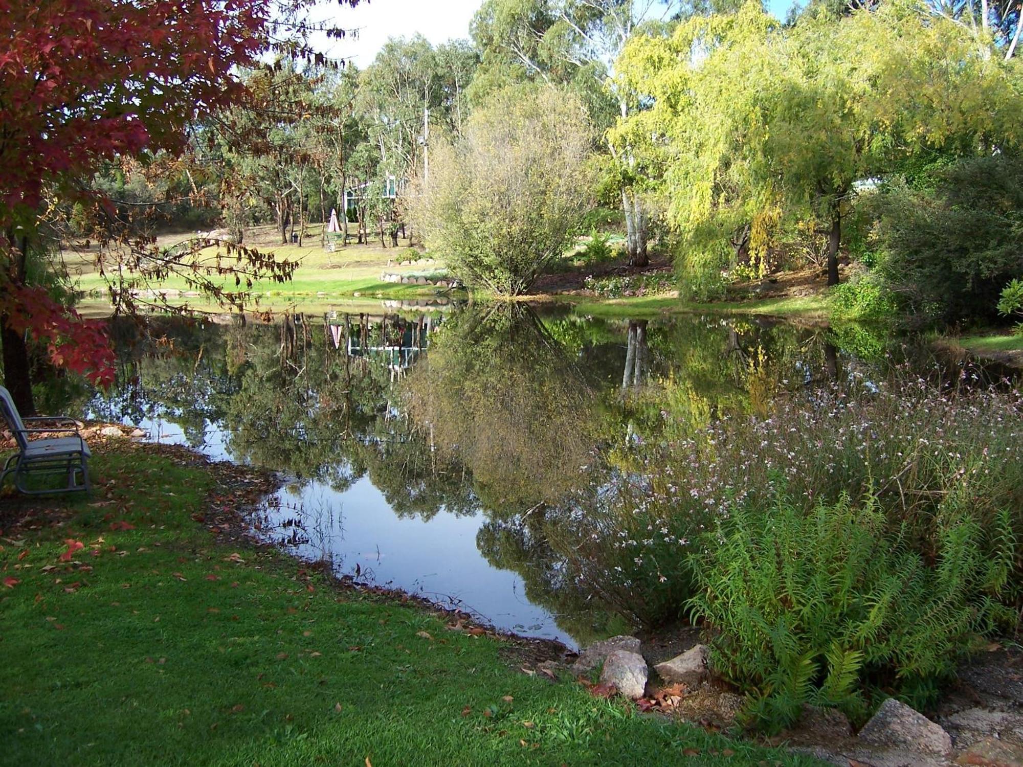 Granite Gardens Cottages & Lake Retreat Stanthorpe Zewnętrze zdjęcie