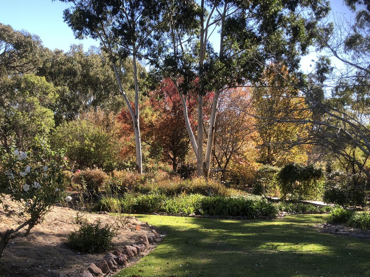 Granite Gardens Cottages & Lake Retreat Stanthorpe Zewnętrze zdjęcie