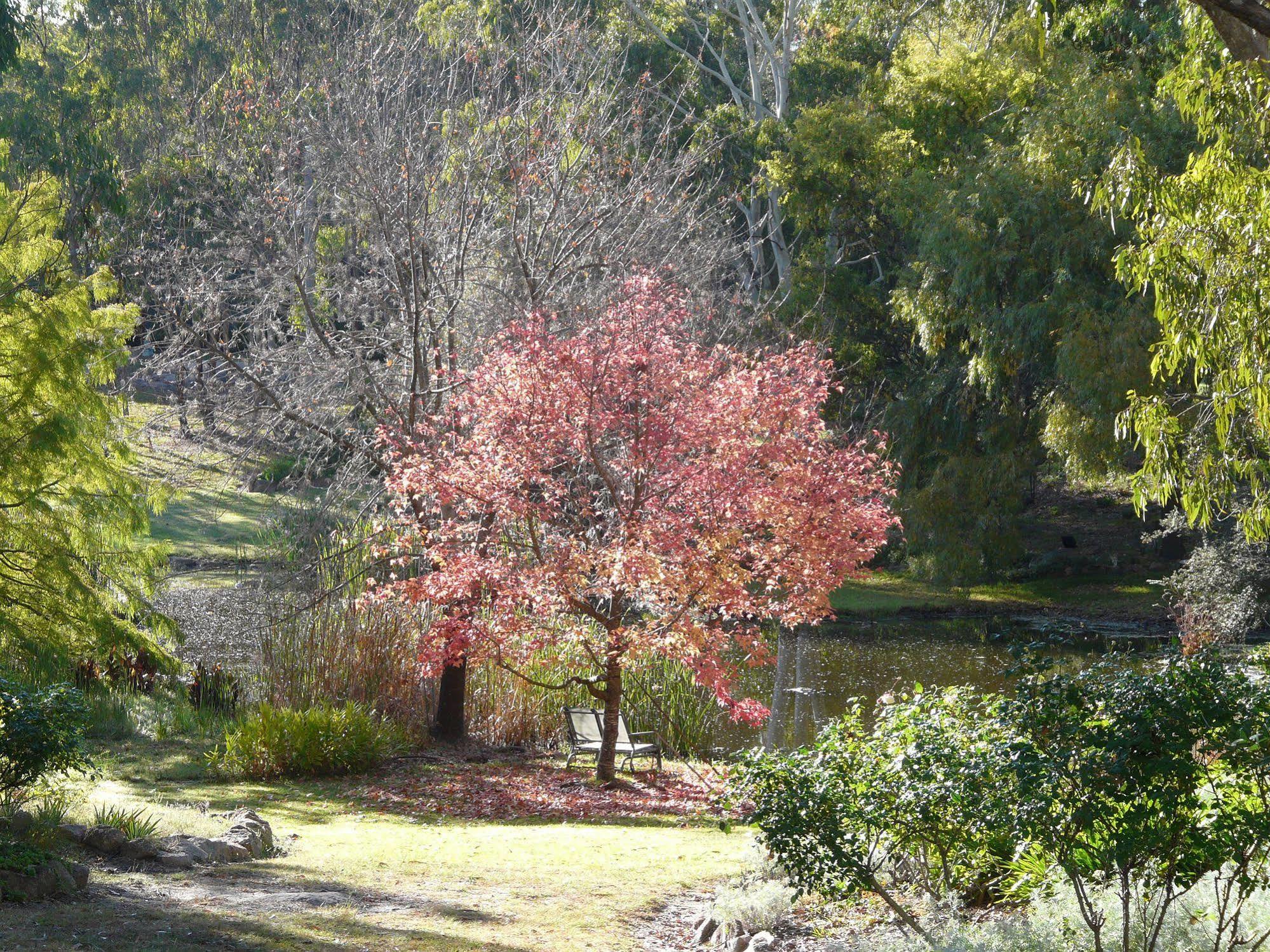 Granite Gardens Cottages & Lake Retreat Stanthorpe Zewnętrze zdjęcie